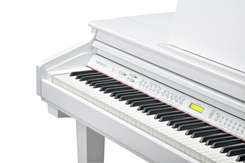 Kurzweil KAG100 WHP фото 4