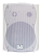 SVS Audiotechnik WS-40 / Белый