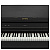 Casio AP-750BK