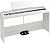 Korg B2+SP WHITE
