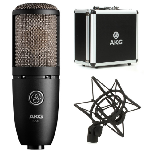 AKG P220 фото 2