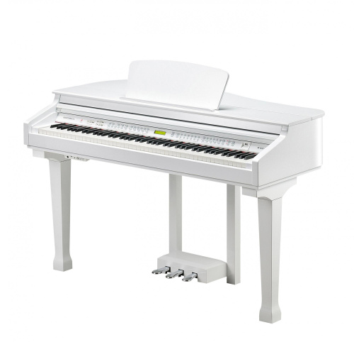 Kurzweil KAG100 WHP фото 6