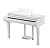 Kurzweil KAG100 WHP