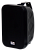 SVS Audiotechnik WSP-80 / Черный
