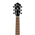 Ibanez AEG50-DHH