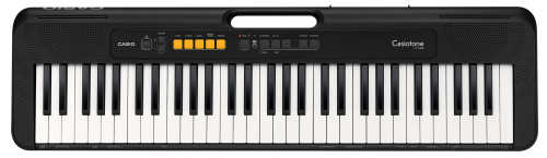 Casio CT-S100