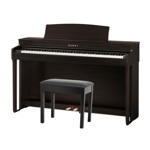 Kawai CN301 R