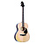 Greg Bennett GA100S/N
