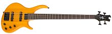 Epiphone Toby Deluxe-IV Bass TAS