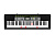 Casio LK-135