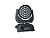 XLine Light LED WASH 3618 Z