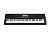 Casio CT-X800