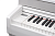 Becker BAP-62W