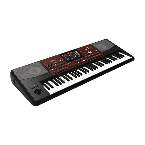 KORG Pa700 фото 4