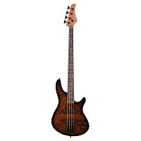 Schecter C-4 STANDARD TB
