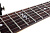 Schecter SGR C-1 EB