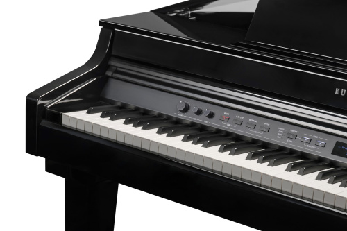Kurzweil CUP G1W BP фото 11
