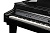 Kurzweil CUP G1W BP