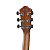 Ibanez AEWC11-NNB