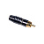 Invotone RCA500M BK