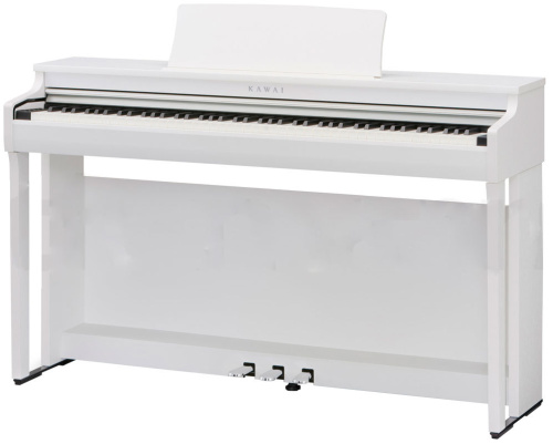 Kawai CN29W