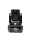 XLine Light LED WASH 410