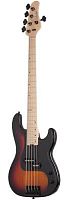 Schecter P-5 3TSB