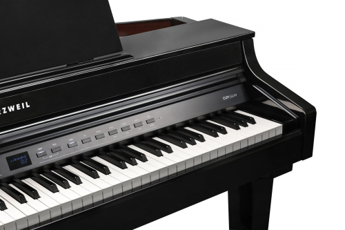 Kurzweil CUP G1W BP фото 9