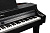 Kurzweil CUP G1W BP