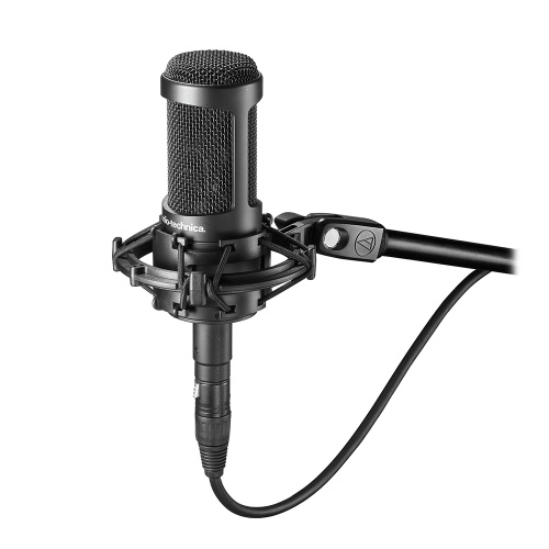 Audio-Technica AT2050 фото 3
