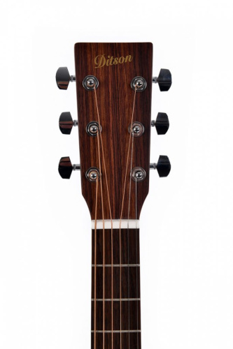 Ditson G-10 фото 2