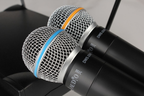 Proaudio DWS-204HT фото 2