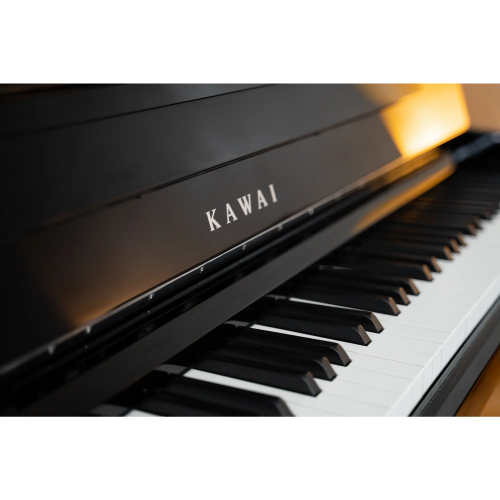 Kawai CA901 R фото 2