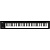 Korg Microkey2-61
