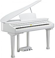 Kurzweil KAG100 WHP