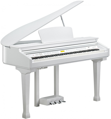 Kurzweil KAG100 WHP