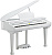 Kurzweil KAG100 WHP