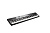 Kurzweil KA50