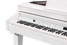 Kurzweil CUP G1W WHP