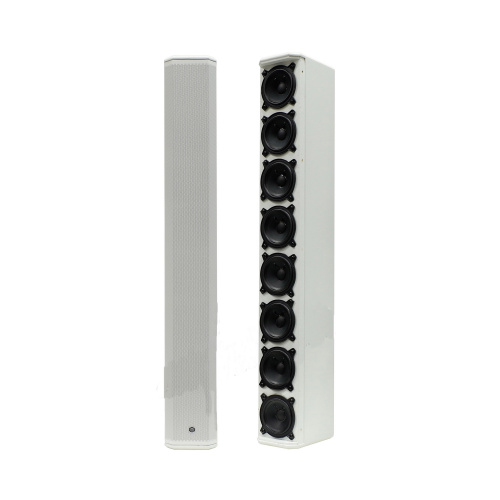Show CS-308W