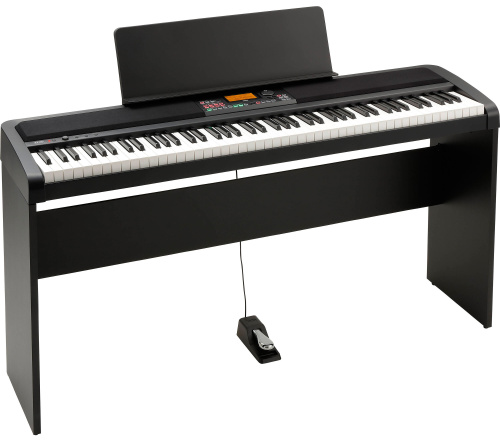 KORG XE20 фото 4
