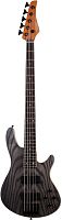 Schecter C-5 STANDARD CS