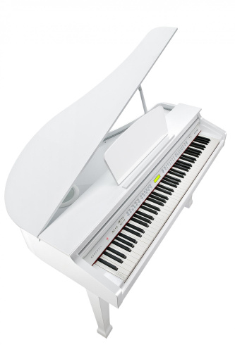 Kurzweil KAG100 WHP фото 5