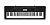 Casio CTK-3500