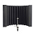 sE Electronics RF-X