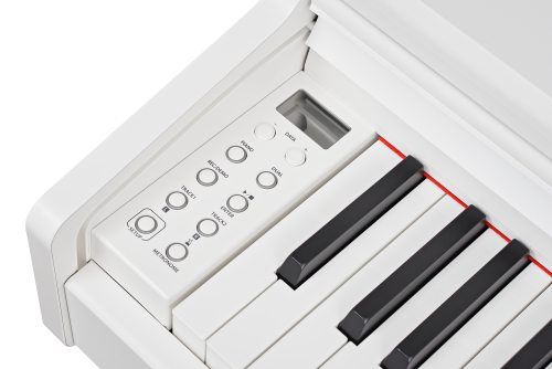 Becker BDP-92W фото 2