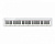 Casio PX-S1100 WH