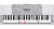 Casio LK-280