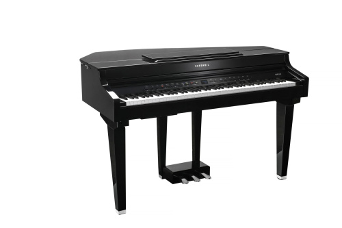 Kurzweil CUP G1W BP фото 15