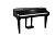 Kurzweil CUP G1W BP